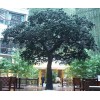 安徽噴泉施工<騰順雕塑>熱門推薦_噴泉設(shè)計公司
