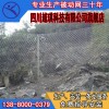 供應(yīng)熱銷被動防護(hù)網(wǎng)，綿陽被動防護(hù)網(wǎng)