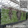 華亮重工專業承建溫室大棚|河北溫室大棚骨架