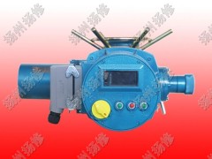 揚修電力F-DZW10扭矩100NM智能型執