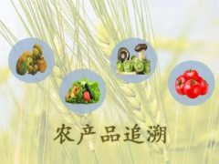 區(qū)塊鏈＋農(nóng)產(chǎn)品溯源的應用前景分析