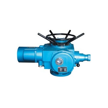 Z120-24W 電動(dòng)執(zhí)行器可遠(yuǎn)程控制
