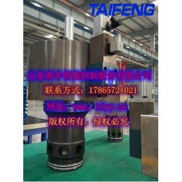 泰豐智能供應(yīng)DN63通徑雙主動閥